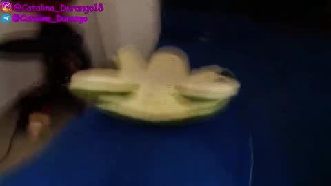 Catalina Durango  online show from November 27, 2025, 8:33 pm