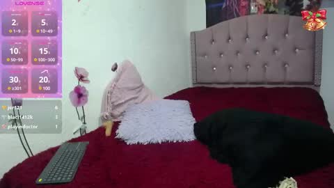 Catalina   online show from March 7, 2025, 3:49 pm