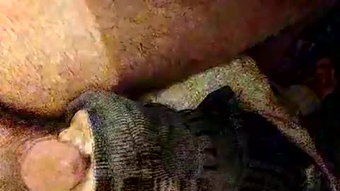 catdaddy179057 online show from March 1, 2026, 2:19 pm