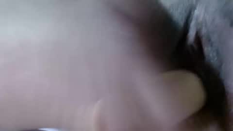 cattleya online show from December 21, 2024, 8:18 am