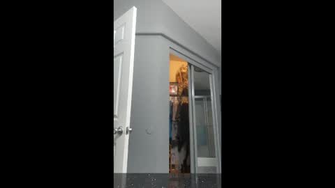 Snapshot of cdlisaann chatting on March 15, 2026, 2:56 pm cdlisaann online show from March 15, 2026, 2:56 pm