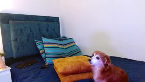 Cedrixx10 online show from October 25, 2025, 1:02 am