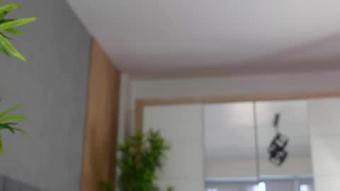 Celestara online show from March 4, 2025, 11:19 am