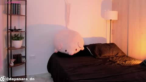 Alice online show from February 26, 2025, 2:15 am