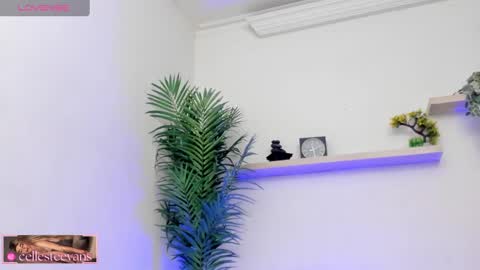 Celeste  online show from March 12, 2025, 7:28 pm