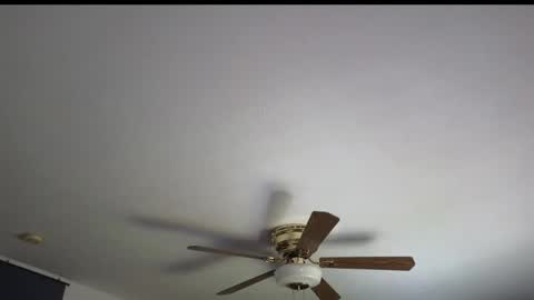 Snapshot of cessprinn chatting on April 7, 2026, 5:35 pm Marie online show from April 7, 2026, 5:35 pm