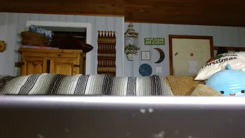 cguffey2284 online show from December 29, 2024, 7:00 pm