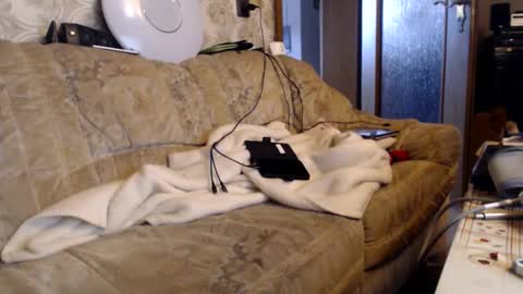 chacoa online show from February 15, 2026, 10:03 am