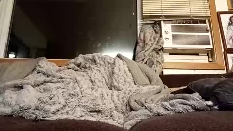 Chad420247 online show from February 11, 2026, 12:37 am