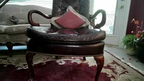 chad online show from December 3, 2024, 7:11 pm