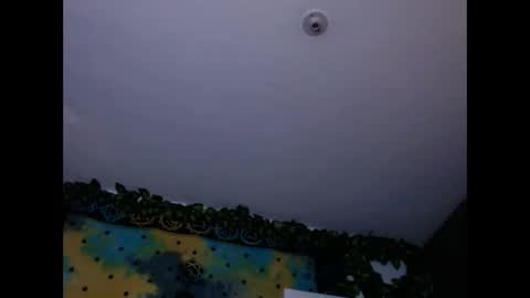 Chanel M. online show from December 26, 2024, 8:00 pm