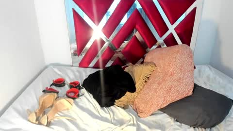 Snapshot of channellross chatting on February 26, 2025, 1:43 am Chanell online show from February 26, 2025, 1:43 am