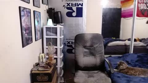 Snapshot of chaos_kat chatting on February 9, 2025, 10:43 pm Chaos Kat online show from February 9, 2025, 10:43 pm