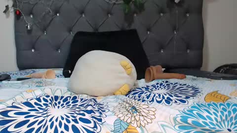 charlottee07 online show from January 30, 2025, 10:40 am