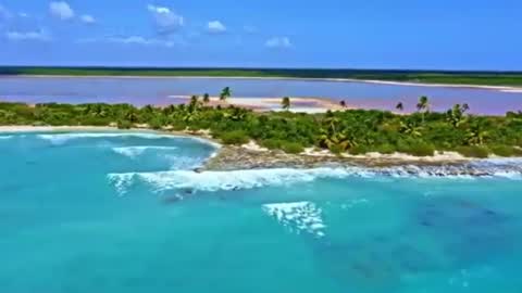 Sam online show from December 19, 2024, 6:56 pm