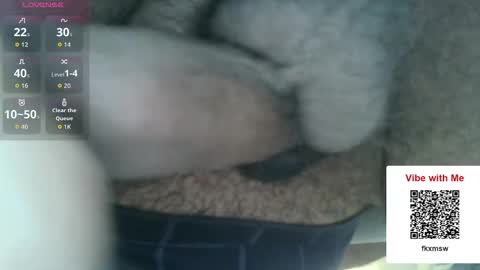 Fun With Daddys Dick Fantacy Room online show from December 17, 2025, 5:19 pm