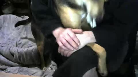 chefy online show from February 19, 2026, 9:38 am