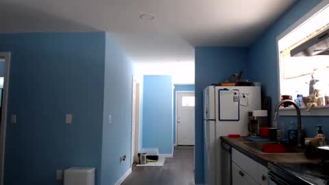 Chelsea online show from March 24, 2026, 4:12 pm