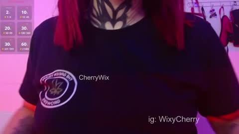 cherrywix online show from February 13, 2025, 2:34 am