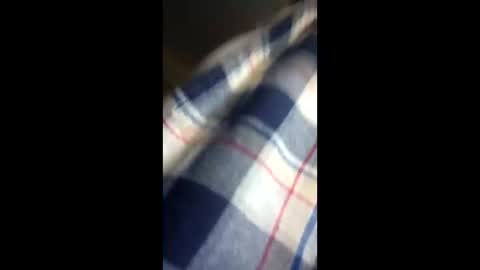 Snapshot of chi579822 chatting on March 14, 2026, 4:29 am chi579822 online show from March 14, 2026, 4:29 am