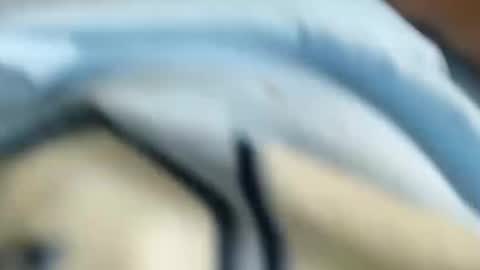 Snapshot of chico18cm5 chatting on January 31, 2025, 3:00 pm domenic online show from January 31, 2025, 3:00 pm