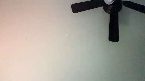 chippytits65 online show from February 5, 2025, 4:25 pm