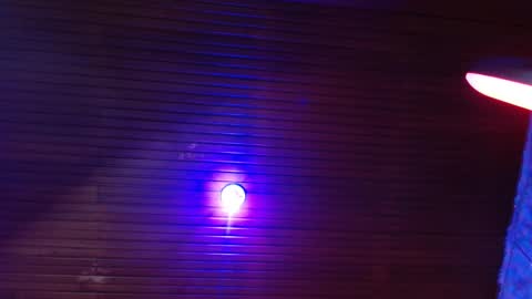 chlooe_zoe online show from February 13, 2025, 8:34 pm