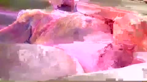 chummy50222 online show from December 8, 2024, 4:14 am