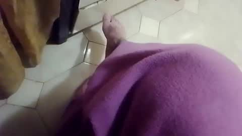 ciccilli online show from April 13, 2026, 7:19 pm