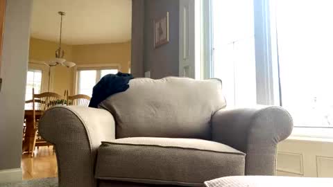 cinapw online show from December 21, 2024, 3:53 pm