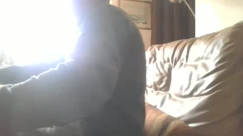 Snapshot of cock9635 chatting on December 28, 2024, 7:55 am cock9635 online show from December 28, 2024, 7:55 am