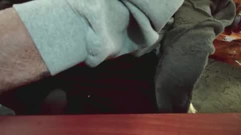 cody81421 online show from January 15, 2025, 5:47 pm