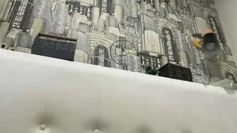 colambus83 online show from March 8, 2026, 2:21 pm