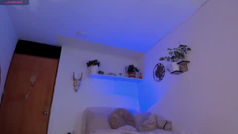 connie    online show from January 20, 2025, 1:53 pm