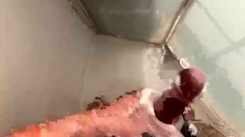 cookie_monster8593 online show from April 20, 2026, 9:49 pm