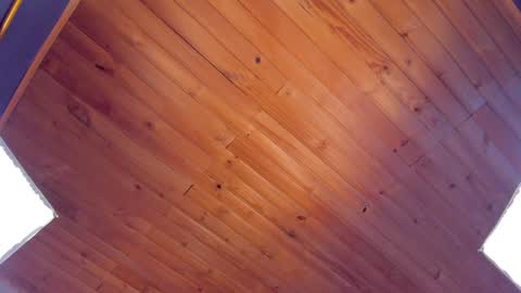 Coraline online show from January 24, 2025, 1:45 am