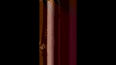 Corrado online show from February 8, 2025, 8:52 am