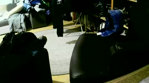 coyote017 online show from January 27, 2025, 6:09 am