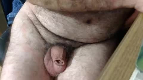 coyote017 online show from February 15, 2026, 6:10 am