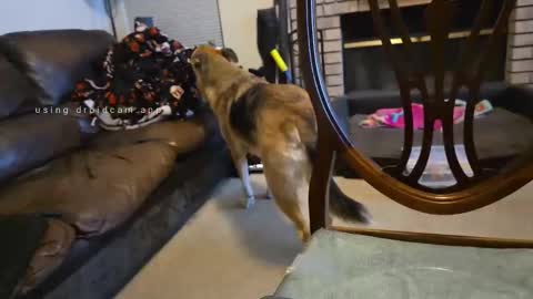 Snapshot of creeeping_death chatting on September 27, 2025, 8:08 am The hopeless romantic online show from September 27, 2025, 8:08 am