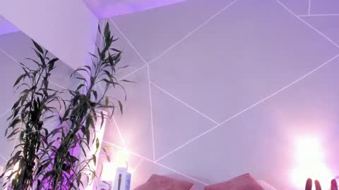 Cristal online show from December 10, 2024, 11:40 pm