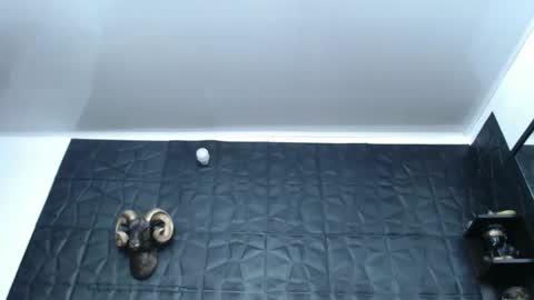 Hanna  online show from February 13, 2025, 4:54 am