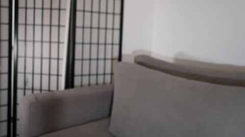 Laura online show from January 17, 2026, 9:29 pm