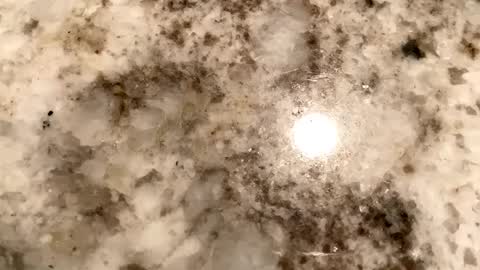 Crushit online show from February 6, 2025, 7:13 am