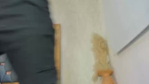 crystal_sm online show from February 27, 2026, 3:06 am