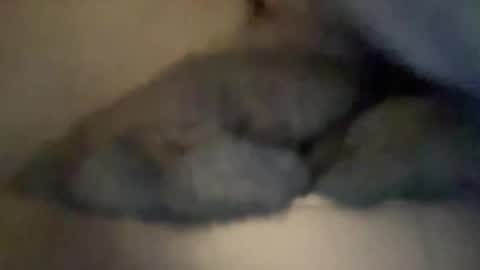 cuckgriff23 online show from April 28, 2026, 2:49 am