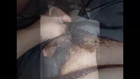 Noha online show from January 13, 2026, 4:07 am