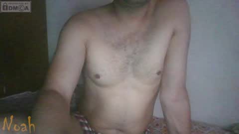 Noha online show from April 8, 2026, 7:08 am