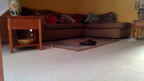 cumonherguys online show from November 17, 2025, 9:37 am