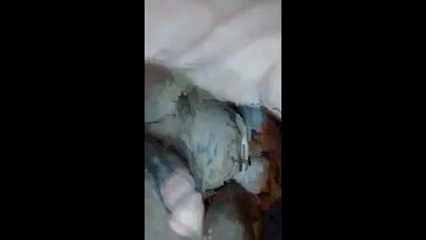 Snapshot of cumsinmealot chatting on September 23, 2025, 10:51 am Aprilia online show from September 23, 2025, 10:51 am